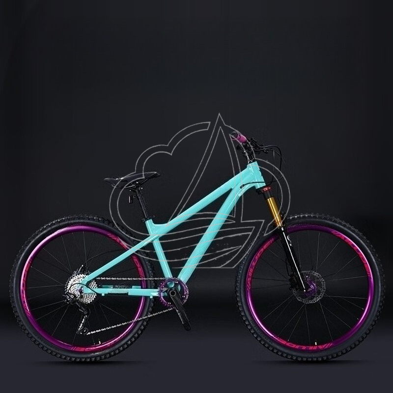 Mountain Biking Jumps - Bicicletta da Montagna in Lega di