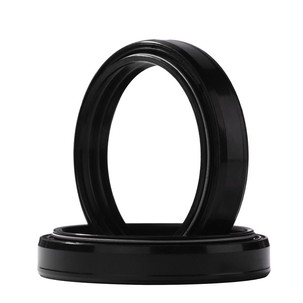 Forcella anteriore Paraolio e  - Fork Oil Seal recensione e prezzo